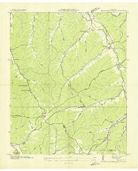 Beaverdam Springs Tennessee Historical topographic map, 1:24000 scale, 7.5 X 7.5 Minute, Year 1936