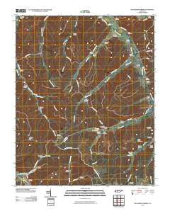 Beaverdam Springs Tennessee Historical topographic map, 1:24000 scale, 7.5 X 7.5 Minute, Year 2010