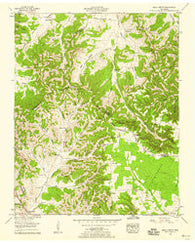Beech Grove Tennessee Historical topographic map, 1:24000 scale, 7.5 X 7.5 Minute, Year 1953