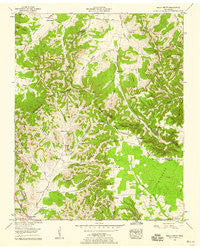 Beech Grove Tennessee Historical topographic map, 1:24000 scale, 7.5 X 7.5 Minute, Year 1953