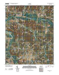 Beech Bluff Tennessee Historical topographic map, 1:24000 scale, 7.5 X 7.5 Minute, Year 2010