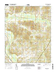Beech Bluff Tennessee Current topographic map, 1:24000 scale, 7.5 X 7.5 Minute, Year 2016