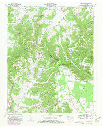Beechgrove Tennessee Historical topographic map, 1:24000 scale, 7.5 X 7.5 Minute, Year 1953