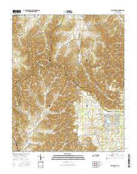 Beechgrove Tennessee Current topographic map, 1:24000 scale, 7.5 X 7.5 Minute, Year 2016