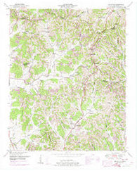 Belleville Tennessee Historical topographic map, 1:24000 scale, 7.5 X 7.5 Minute, Year 1949