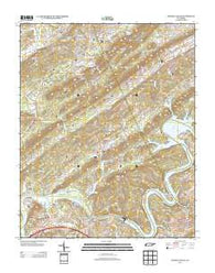 Bethel Valley Tennessee Historical topographic map, 1:24000 scale, 7.5 X 7.5 Minute, Year 2013