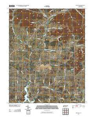 Bethpage Tennessee Historical topographic map, 1:24000 scale, 7.5 X 7.5 Minute, Year 2010