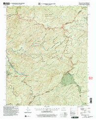 Big Junction Tennessee Historical topographic map, 1:24000 scale, 7.5 X 7.5 Minute, Year 2003