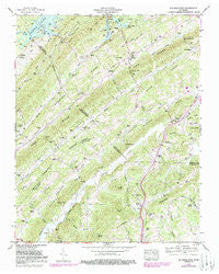Big Ridge Park Tennessee Historical topographic map, 1:24000 scale, 7.5 X 7.5 Minute, Year 1952