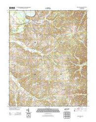 Big Sandy Tennessee Historical topographic map, 1:24000 scale, 7.5 X 7.5 Minute, Year 2013