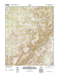 Billingsley Gap Tennessee Historical topographic map, 1:24000 scale, 7.5 X 7.5 Minute, Year 2013