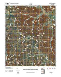 Bodenham Tennessee Historical topographic map, 1:24000 scale, 7.5 X 7.5 Minute, Year 2010