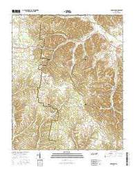 Bodenham Tennessee Current topographic map, 1:24000 scale, 7.5 X 7.5 Minute, Year 2016
