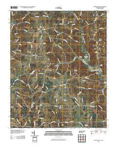 Bonnertown Tennessee Historical topographic map, 1:24000 scale, 7.5 X 7.5 Minute, Year 2010