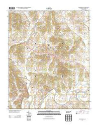 Boonshill Tennessee Historical topographic map, 1:24000 scale, 7.5 X 7.5 Minute, Year 2013