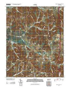 Brick Church Tennessee Historical topographic map, 1:24000 scale, 7.5 X 7.5 Minute, Year 2010