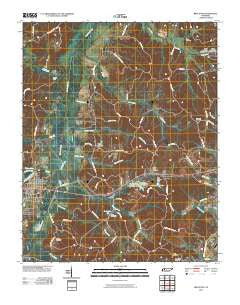 Bruceton Tennessee Historical topographic map, 1:24000 scale, 7.5 X 7.5 Minute, Year 2010