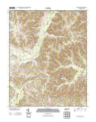 Buchanan Tennessee Historical topographic map, 1:24000 scale, 7.5 X 7.5 Minute, Year 2013