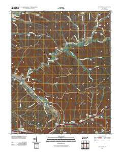 Bucksnort Tennessee Historical topographic map, 1:24000 scale, 7.5 X 7.5 Minute, Year 2010