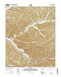 Bucksnort Tennessee Current topographic map, 1:24000 scale, 7.5 X 7.5 Minute, Year 2016