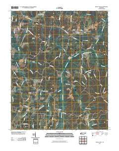 Buena Vista Tennessee Historical topographic map, 1:24000 scale, 7.5 X 7.5 Minute, Year 2010