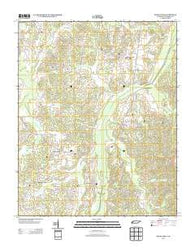Buena Vista Tennessee Historical topographic map, 1:24000 scale, 7.5 X 7.5 Minute, Year 2013