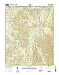 Buena Vista Tennessee Current topographic map, 1:24000 scale, 7.5 X 7.5 Minute, Year 2016