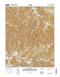 Buffalo Valley Tennessee Current topographic map, 1:24000 scale, 7.5 X 7.5 Minute, Year 2016