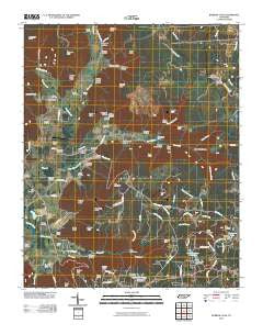 Burrow Cove Tennessee Historical topographic map, 1:24000 scale, 7.5 X 7.5 Minute, Year 2010