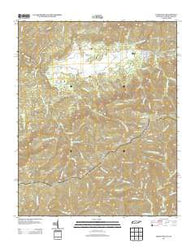 Cades Cove Tennessee Historical topographic map, 1:24000 scale, 7.5 X 7.5 Minute, Year 2013