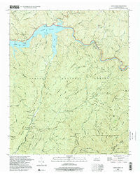 Caney Creek Tennessee Historical topographic map, 1:24000 scale, 7.5 X 7.5 Minute, Year 1999