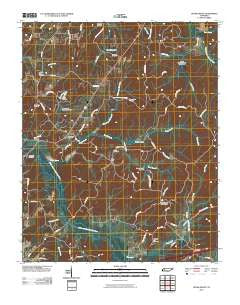 Cedar Grove Tennessee Historical topographic map, 1:24000 scale, 7.5 X 7.5 Minute, Year 2010