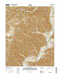 Celina Tennessee Current topographic map, 1:24000 scale, 7.5 X 7.5 Minute, Year 2016