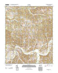 Centerville Tennessee Historical topographic map, 1:24000 scale, 7.5 X 7.5 Minute, Year 2013