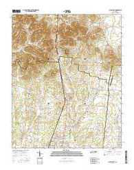 Chapel Hill Tennessee Current topographic map, 1:24000 scale, 7.5 X 7.5 Minute, Year 2016