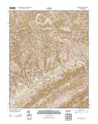Coleman Gap Tennessee Historical topographic map, 1:24000 scale, 7.5 X 7.5 Minute, Year 2013