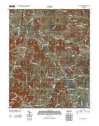 College Grove Tennessee Historical topographic map, 1:24000 scale, 7.5 X 7.5 Minute, Year 2010