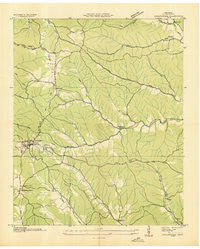 Collinwood Tennessee Historical topographic map, 1:24000 scale, 7.5 X 7.5 Minute, Year 1936