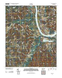 Counce Tennessee Historical topographic map, 1:24000 scale, 7.5 X 7.5 Minute, Year 2010