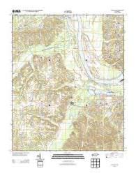 Counce Tennessee Historical topographic map, 1:24000 scale, 7.5 X 7.5 Minute, Year 2013