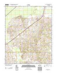 Dancyville Tennessee Historical topographic map, 1:24000 scale, 7.5 X 7.5 Minute, Year 2013