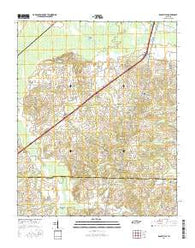 Dancyville Tennessee Current topographic map, 1:24000 scale, 7.5 X 7.5 Minute, Year 2016