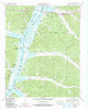 Daniels Landing Tennessee Historical topographic map, 1:24000 scale, 7.5 X 7.5 Minute, Year 1949