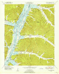 Daniels Landing Tennessee Historical topographic map, 1:24000 scale, 7.5 X 7.5 Minute, Year 1949