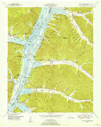 Daniels Landing Tennessee Historical topographic map, 1:24000 scale, 7.5 X 7.5 Minute, Year 1949