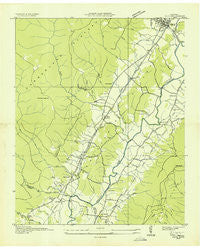 Daus Tennessee Historical topographic map, 1:24000 scale, 7.5 X 7.5 Minute, Year 1936