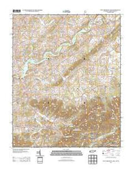 Davy Crockett Lake Tennessee Historical topographic map, 1:24000 scale, 7.5 X 7.5 Minute, Year 2013