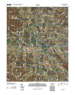 Deerfield Tennessee Historical topographic map, 1:24000 scale, 7.5 X 7.5 Minute, Year 2010