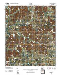 Dellrose Tennessee Historical topographic map, 1:24000 scale, 7.5 X 7.5 Minute, Year 2010