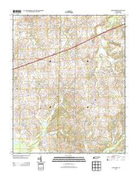 Denmark Tennessee Historical topographic map, 1:24000 scale, 7.5 X 7.5 Minute, Year 2013